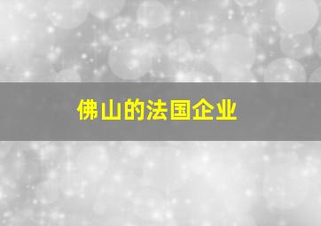 佛山的法国企业