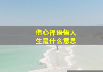 佛心禅语悟人生是什么意思