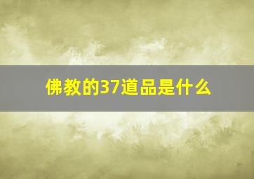 佛教的37道品是什么