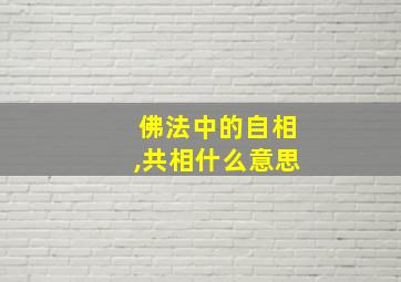 佛法中的自相,共相什么意思