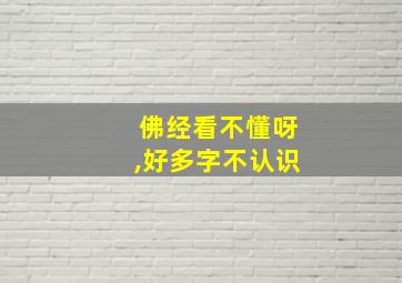 佛经看不懂呀,好多字不认识