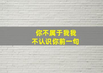 你不属于我我不认识你前一句