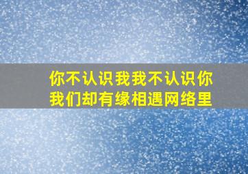 你不认识我我不认识你我们却有缘相遇网络里