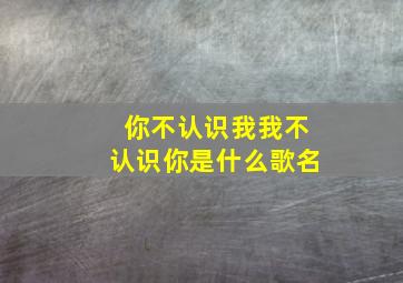 你不认识我我不认识你是什么歌名