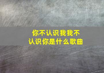 你不认识我我不认识你是什么歌曲