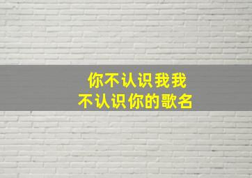 你不认识我我不认识你的歌名