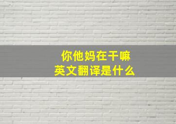 你他妈在干嘛英文翻译是什么