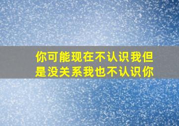 你可能现在不认识我但是没关系我也不认识你