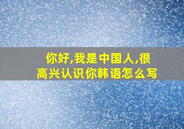 你好,我是中国人,很高兴认识你韩语怎么写