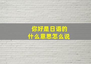 你好是日语的什么意思怎么说