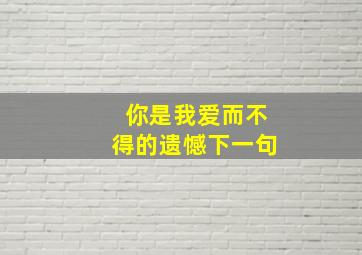 你是我爱而不得的遗憾下一句