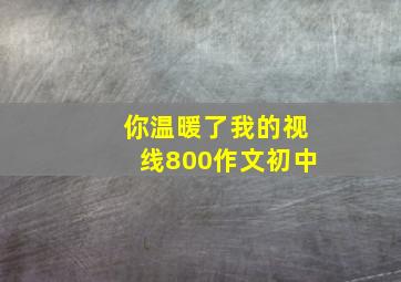 你温暖了我的视线800作文初中