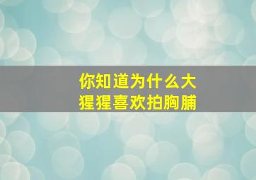 你知道为什么大猩猩喜欢拍胸脯