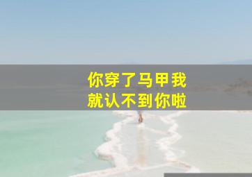 你穿了马甲我就认不到你啦