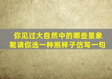 你见过大自然中的哪些景象呢请你选一种照样子仿写一句