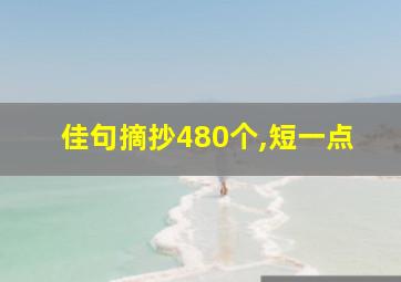 佳句摘抄480个,短一点