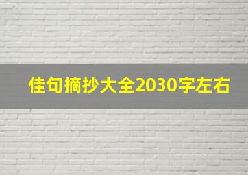 佳句摘抄大全2030字左右