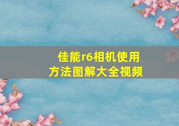 佳能r6相机使用方法图解大全视频