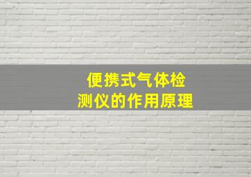 便携式气体检测仪的作用原理