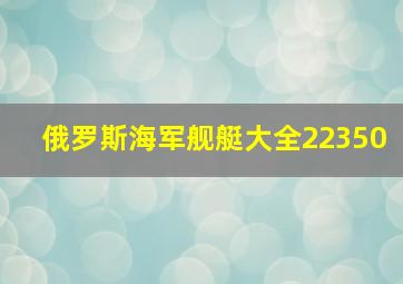 俄罗斯海军舰艇大全22350