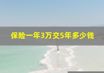 保险一年3万交5年多少钱