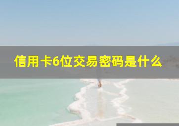 信用卡6位交易密码是什么