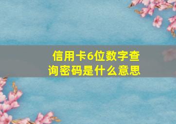 信用卡6位数字查询密码是什么意思