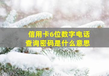 信用卡6位数字电话查询密码是什么意思