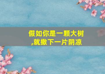 假如你是一颗大树,就撒下一片阴凉