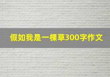 假如我是一棵草300字作文