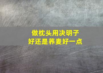 做枕头用决明子好还是荞麦好一点