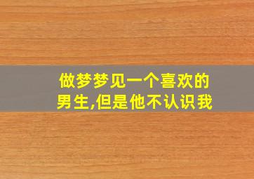 做梦梦见一个喜欢的男生,但是他不认识我