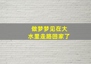 做梦梦见在大水里走路回家了