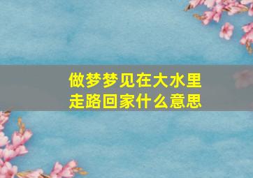 做梦梦见在大水里走路回家什么意思