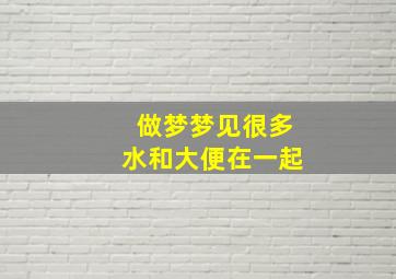 做梦梦见很多水和大便在一起