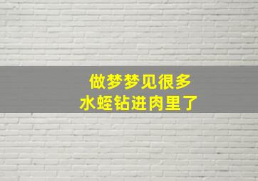 做梦梦见很多水蛭钻进肉里了