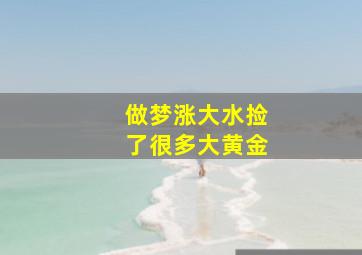 做梦涨大水捡了很多大黄金