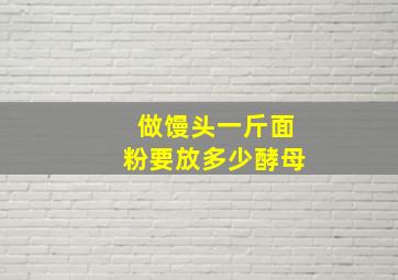 做馒头一斤面粉要放多少酵母