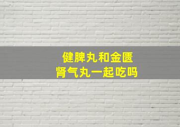 健脾丸和金匮肾气丸一起吃吗