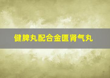 健脾丸配合金匮肾气丸