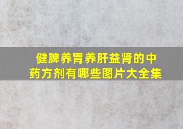 健脾养胃养肝益肾的中药方剂有哪些图片大全集