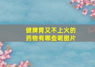 健脾胃又不上火的药物有哪些呢图片