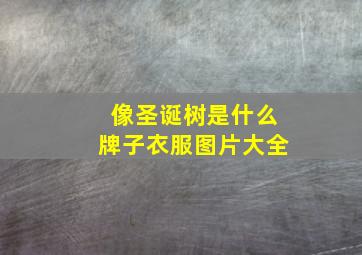 像圣诞树是什么牌子衣服图片大全