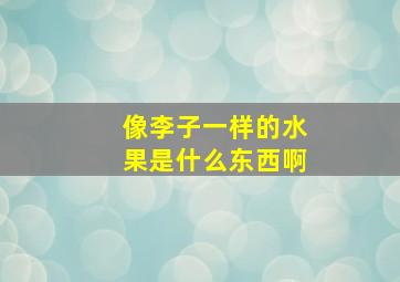 像李子一样的水果是什么东西啊