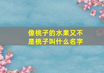 像桃子的水果又不是桃子叫什么名字