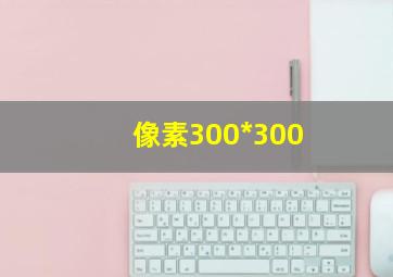 像素300*300