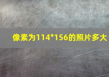 像素为114*156的照片多大