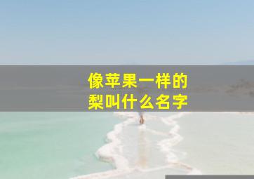 像苹果一样的梨叫什么名字