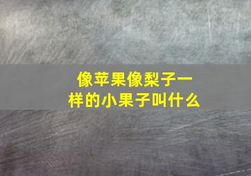 像苹果像梨子一样的小果子叫什么