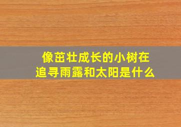 像茁壮成长的小树在追寻雨露和太阳是什么